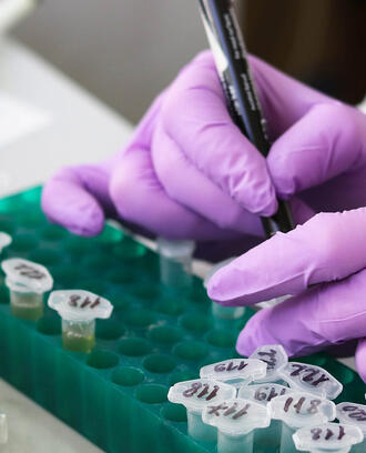 laboratory